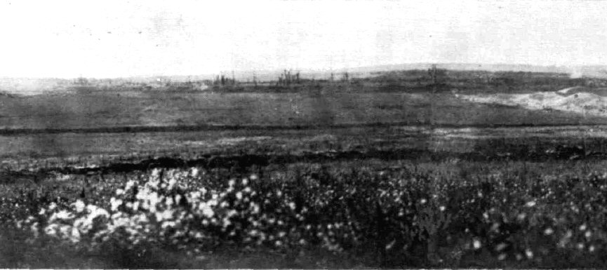 La Boisselle 3rd July 1916